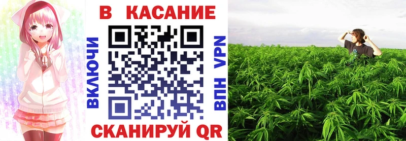 Хочу наркоту Кедровый Каннабис АМФЕТАМИН Гашиш COCAIN