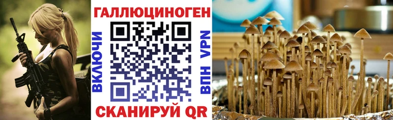 Галлюциногенные грибы MAGIC MUSHROOMS  даркнет сайт  Кедровый 